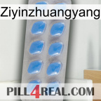 Ziyinzhuangyang 22